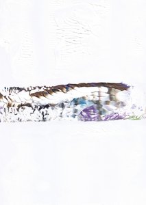 Abstract Horizon Blend by Maira Ribena