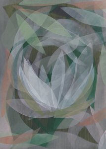 Abstract Lotus Flower