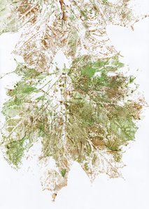 Autumn Leaf Print
