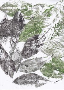 Botanical Leaf Prints