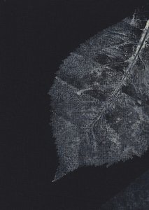 Dark Leaf Veins