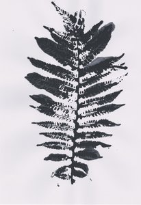Elegant Fern Leaf by Maira Ribena