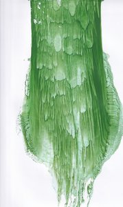 Fluid Green Abstract by Maira Ribena