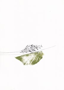 Green Leaf Bare Branches by Maira Ribena