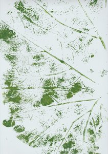Green Leaf Impression
