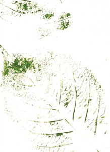 Green Leaf Prints