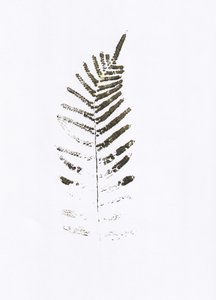 Minimalist Fern Leaf Print by Maira Ribena