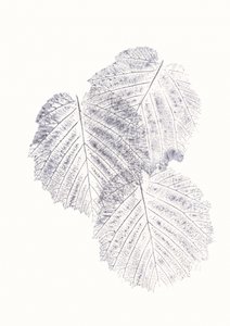 Minimalist Leaf Textures by Maira Ribena