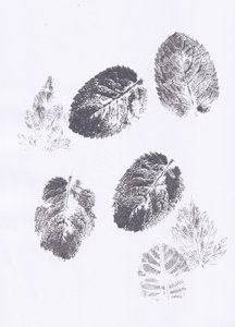 Mint Leaf Imprints by Maira Ribena