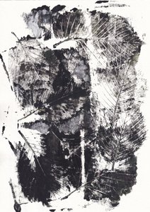 Monochrome Botanical Impressions by Maira Ribena