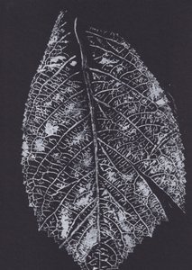 Monochrome Leaf Pattern by Maira Ribena