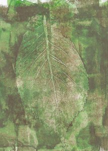 Organic Leaf Impression