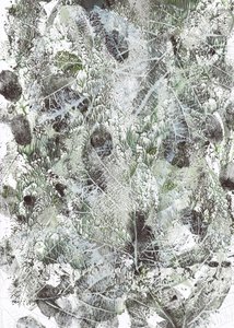 Organic Leaf Imprints by Maira Ribena