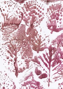 Organic Maroon Flow by Maira Ribena