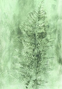 Subtle Fern Frond