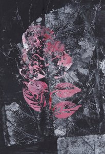 Textural Pink Bloom