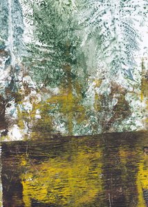 Textured Forest Floor