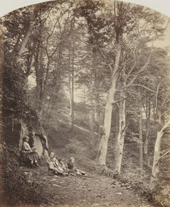 A Path Through a Wood by Major Francis Gresley