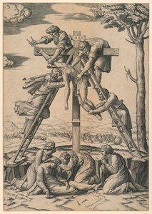 The Deposition