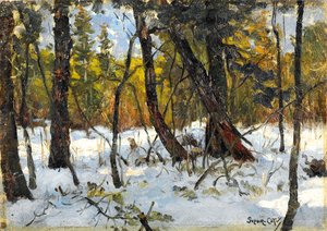 Woodland in winter