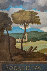 Detail of the City of Vicenza
