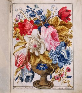 Illumination from the 