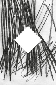 Untitled, 2014 by Marco Campedelli