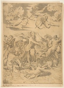 Galatea Riding in a Shell Pulled Through the Water by Dolphins by Marco Dente