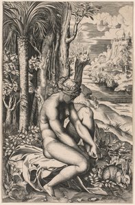 Venus Wounded by a Rose
