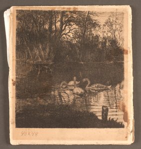 Motif with Swans. Frederiksberg Garden