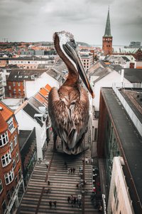 Giant Pelican City by Marcus Hennen