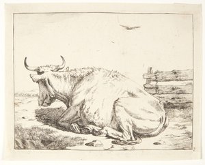 Lying Cow
