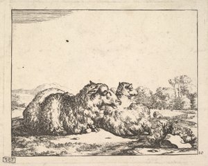 Sheep, from a set of 16 plates, 1664