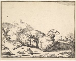 Sheep, from a Set of 16 Plates
