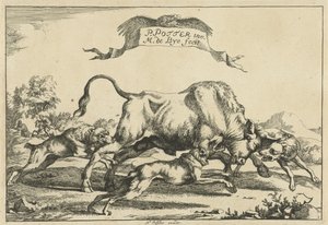 Bull Attacked by Three Hunting Dogs (Hunting Dogs) by Marcus de Bye