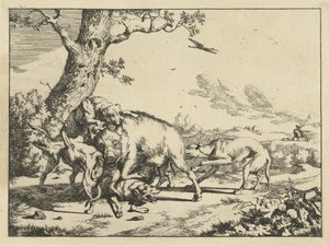 Boar Attacked by Four Hunting Dogs (Hunting Dogs)