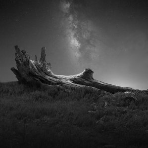 Driftwood Under Milky Way by Margaret Halaby