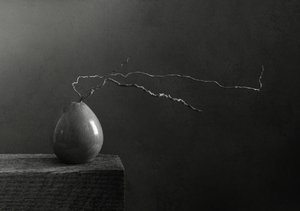 Monochrome Pear and Branch