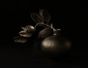 Moody Seed Pods