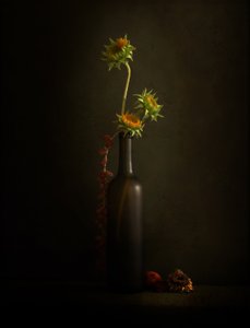 Moody Sunflower Still Life