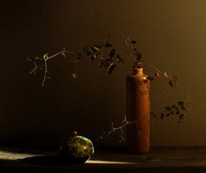 Rustic Still Life with Ladybug