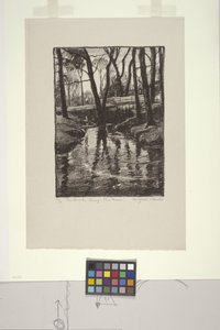 The Brook in Spring, Pine Manor by Margaret Jordan Patterson