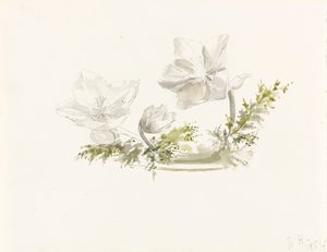 Study of a Flower Arrangement