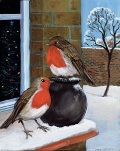 Robins in the Snow