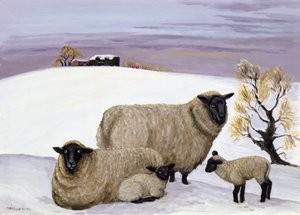 Sheep in Winter