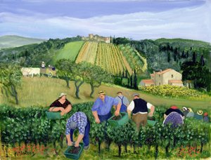 Vineyard, Olives and Sunflowers