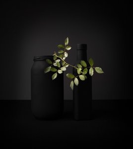Black Objects Green Branch by Margareth Perfoncio