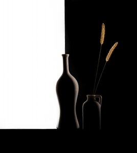 Dark Light Vases Grass by Margareth Perfoncio