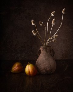 Dark Pears and Flowers by Margareth Perfoncio