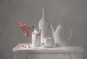 Delicate Pink Still Life